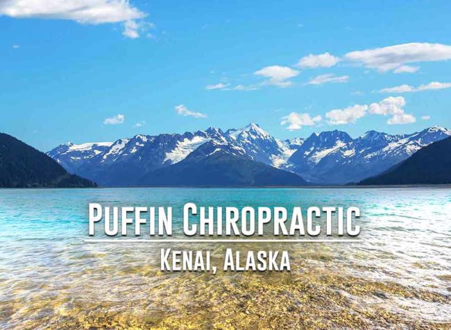 Puffin Chiropractic